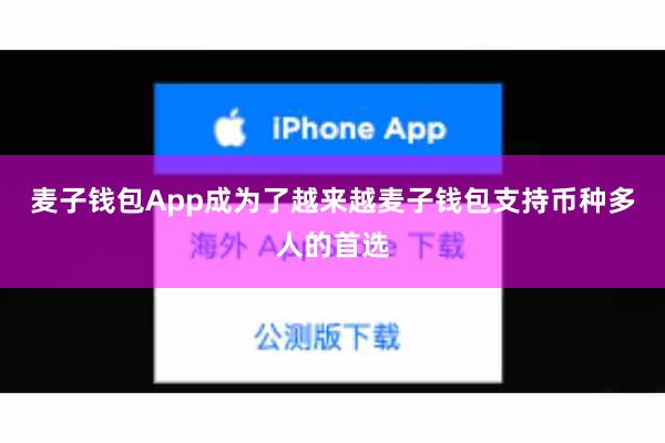 麦子钱包App成为了越来越麦子钱包支持币种多人的首选