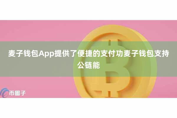 麦子钱包App提供了便捷的支付功麦子钱包支持公链能
