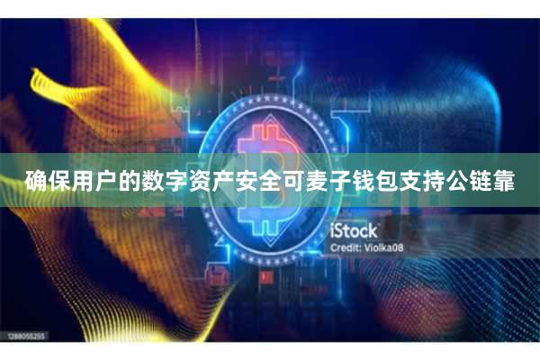 确保用户的数字资产安全可麦子钱包支持公链靠