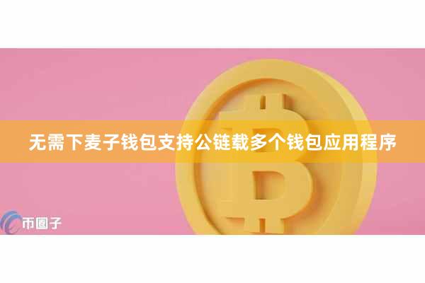 无需下麦子钱包支持公链载多个钱包应用程序