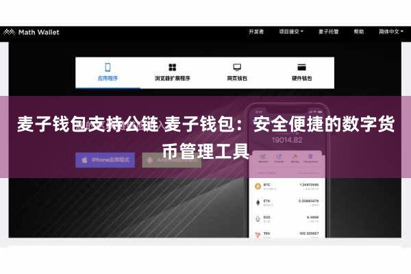 麦子钱包支持公链 麦子钱包:安全便捷的数字货币管理工具