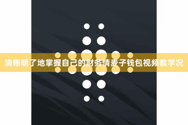 清晰明了地掌握自己的财务情麦子钱包视频教学况