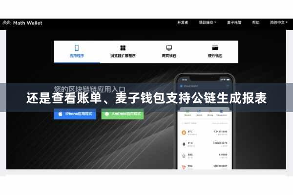 还是查看账单、麦子钱包支持公链生成报表