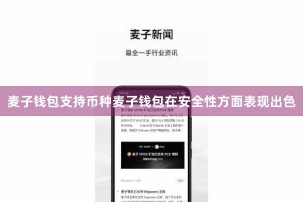 麦子钱包支持币种麦子钱包在安全性方面表现出色