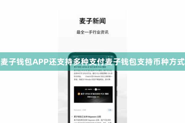 麦子钱包APP还支持多种支付麦子钱包支持币种方式
