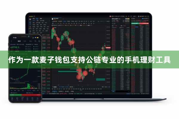 作为一款麦子钱包支持公链专业的手机理财工具
