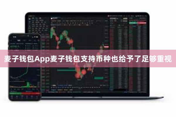 麦子钱包App麦子钱包支持币种也给予了足够重视