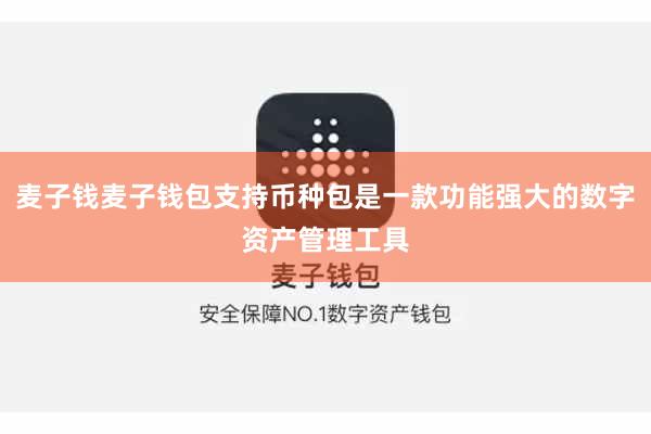 麦子钱麦子钱包支持币种包是一款功能强大的数字资产管理工具