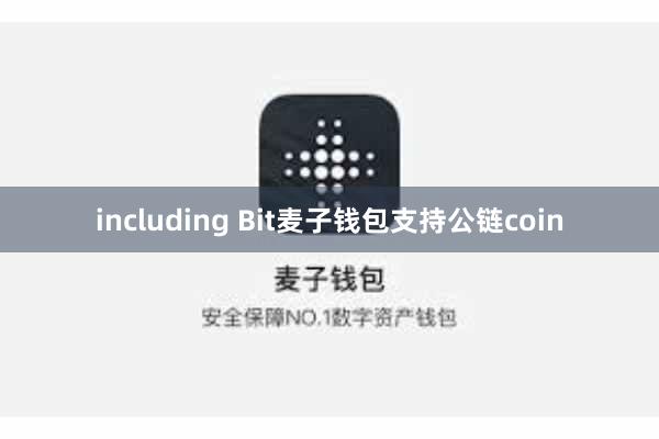 including Bit麦子钱包支持公链coin