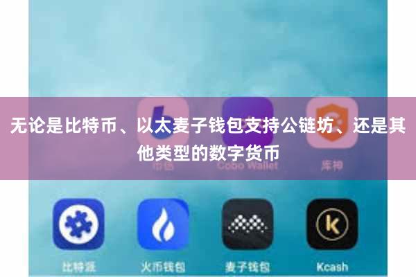 无论是比特币、以太麦子钱包支持公链坊、还是其他类型的数字货币