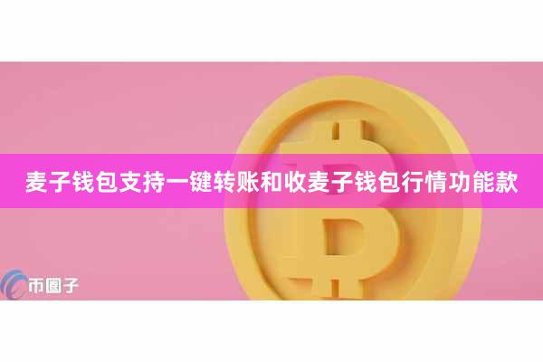 麦子钱包支持一键转账和收麦子钱包行情功能款