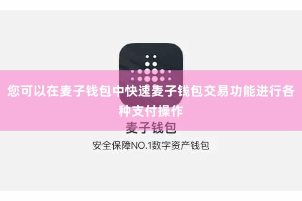 您可以在麦子钱包中快速麦子钱包交易功能进行各种支付操作