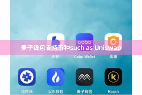 麦子钱包支持币种such as Uniswap