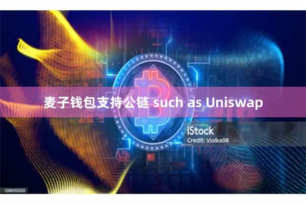 麦子钱包支持公链 such as Uniswap
