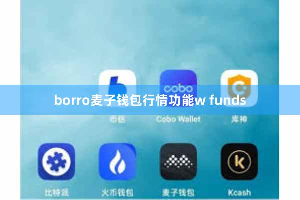 borro麦子钱包行情功能w funds