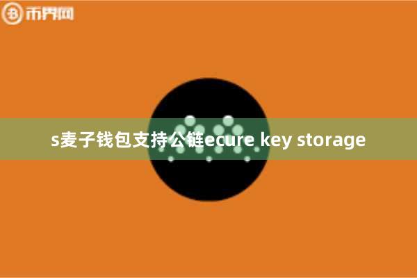 s麦子钱包支持公链ecure key storage