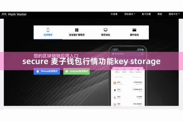 secure 麦子钱包行情功能key storage