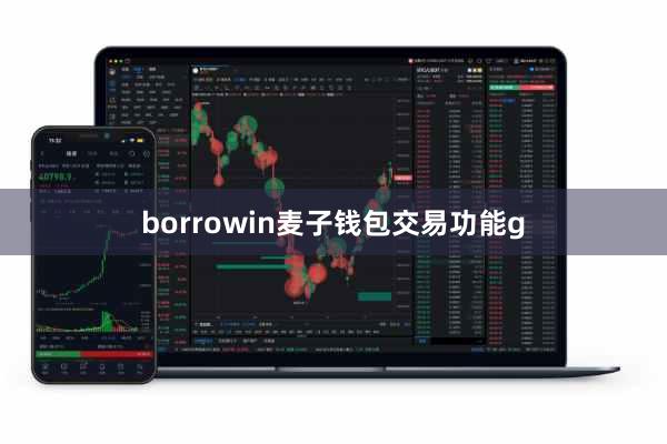 borrowin麦子钱包交易功能g
