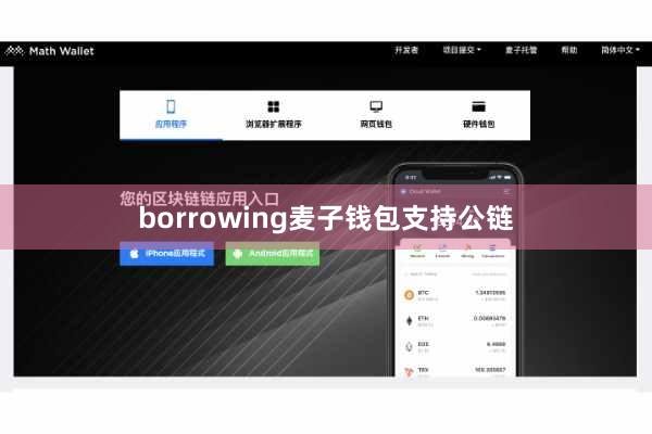 borrowing麦子钱包支持公链