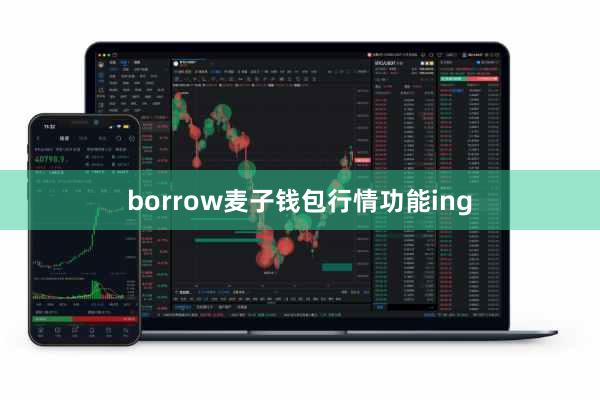 borrow麦子钱包行情功能ing