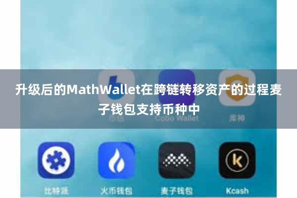 升级后的MathWallet在跨链转移资产的过程麦子钱包支持币种中