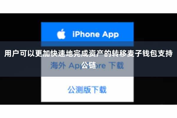 用户可以更加快速地完成资产的转移麦子钱包支持公链
