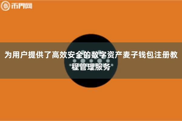 为用户提供了高效安全的数字资产麦子钱包注册教程管理服务