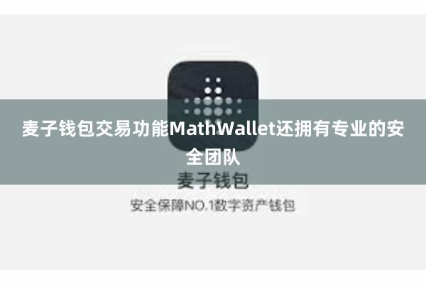 麦子钱包交易功能MathWallet还拥有专业的安全团队
