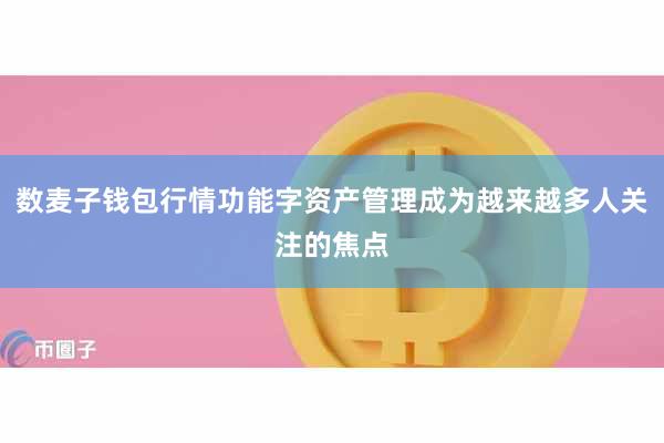 数麦子钱包行情功能字资产管理成为越来越多人关注的焦点