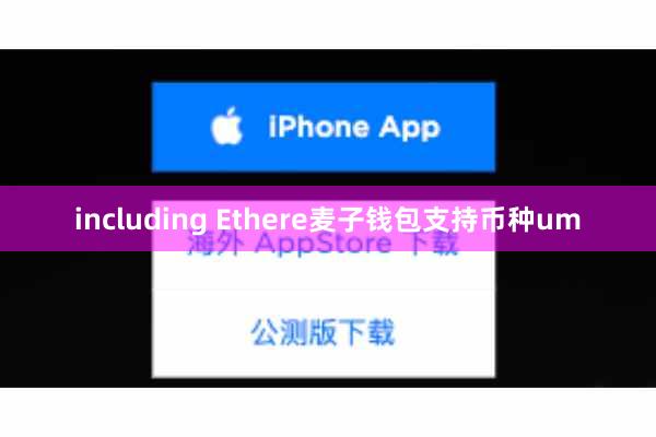 including Ethere麦子钱包支持币种um