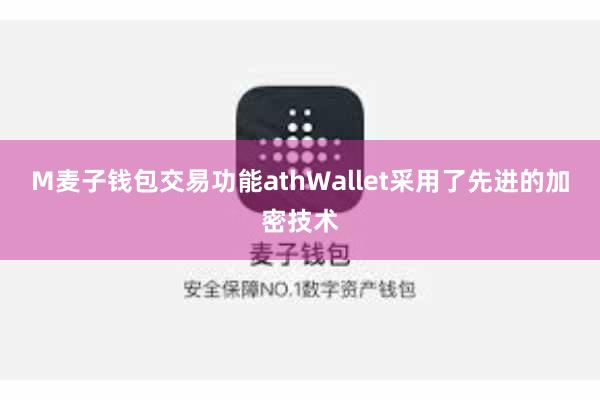 M麦子钱包交易功能athWallet采用了先进的加密技术